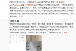 朱艺：欠薪的人多了，这不是违法借口，杨文吉：拖欠工资也违法